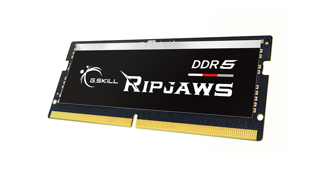 G.SKILL RIPJAWS DDR5 NOTEBOOK (SO-DIMM) / DDR5-5600 / CL46-45-45 / 1.10V / 48GB(1x48GB) / INTEL XMP3.0 Support / Limited Lifetime Wty PC RAM