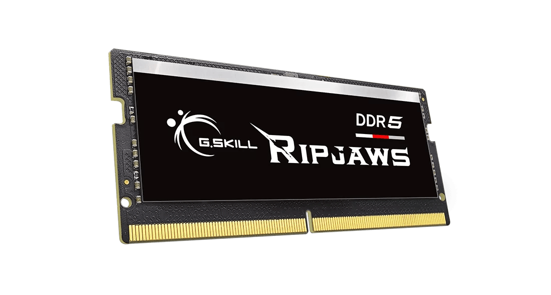 G.SKILL RIPJAWS DDR5 NOTEBOOK (SO-DIMM) / DDR5-5600 / CL46-45-45 / 1.10V / 48GB(1x48GB) / INTEL XMP3.0 Support / Limited Lifetime Wty PC RAM