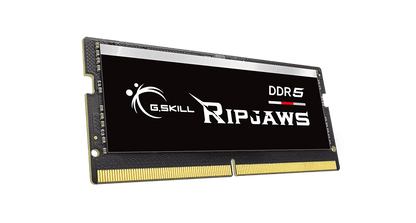 G.SKILL RIPJAWS DDR5 NOTEBOOK (SO-DIMM) / DDR5-5600 / CL46-45-45 / 1.10V / 48GB(1x48GB) / INTEL XMP3.0 Support / Limited Lifetime Wty PC RAM