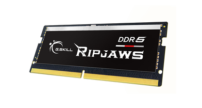 G.SKILL RIPJAWS DDR5 NOTEBOOK (SO-DIMM) / DDR5-5600 / CL46-45-45 / 1.10V / 48GB(1x48GB) / INTEL XMP3.0 Support / Limited Lifetime Wty PC RAM