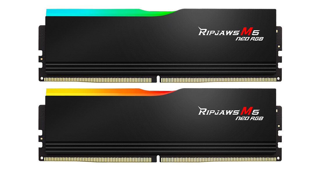 G.SKILL RIPJAWS M5 Series (Intel XMP 3.0) DDR5 RAM 32GB (2x16GB) 5600MT/s CL30-36-36-89 / 1.25V / Desktop Computer Memory UDIMM - Matte Black/White (F5-5600J3036D16GX2-RM5RK)