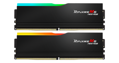 G.SKILL RIPJAWS M5 Series (Intel XMP 3.0) DDR5 RAM 32GB (2x16GB) 5600MT/s CL30-36-36-89 / 1.25V / Desktop Computer Memory UDIMM - Matte Black/White (F5-5600J3036D16GX2-RM5RK)