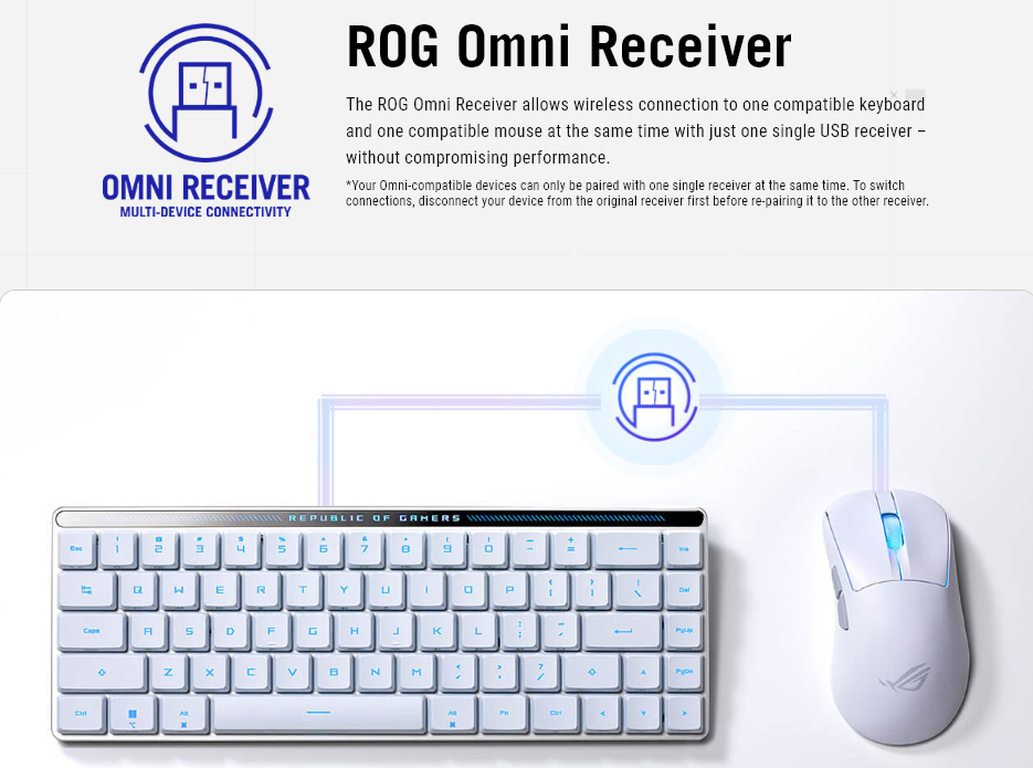 ASUS ROG Falchion RX Low Profile 65% Compact Wireless Gaming Keyboard with Optical Switches/Speed Nova/Omni Receiver/Tri-mode Connection/Window & MacOS support - BLUE OR RED SWITCHES