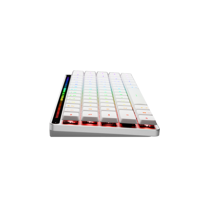 ASUS ROG Falchion RX Low Profile 65% Compact Wireless Gaming Keyboard with Optical Switches/Speed Nova/Omni Receiver/Tri-mode Connection/Window & MacOS support - BLUE OR RED SWITCHES