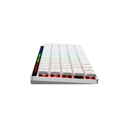 ASUS ROG Falchion RX Low Profile 65% Compact Wireless Gaming Keyboard with Optical Switches/Speed Nova/Omni Receiver/Tri-mode Connection/Window & MacOS support - BLUE OR RED SWITCHES