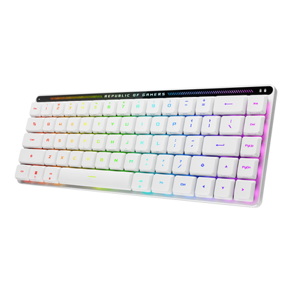 ASUS ROG Falchion RX Low Profile 65% Compact Wireless Gaming Keyboard with Optical Switches/Speed Nova/Omni Receiver/Tri-mode Connection/Window & MacOS support - BLUE OR RED SWITCHES