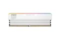 KLEVV URBANE V RGB DDR5 6400 CL32 2X16GB / 2X24GB (LIMITED LIFETIME WARRANTY)